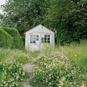 Shed Shed