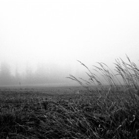 Landscapes