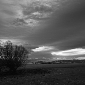 Montana Tree and Sky Montana Tree and Sky 19